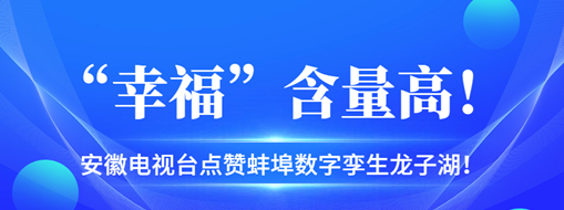 ?“幸?！焙扛?，安徽電視臺點贊蚌埠數(shù)字孿生龍子湖！